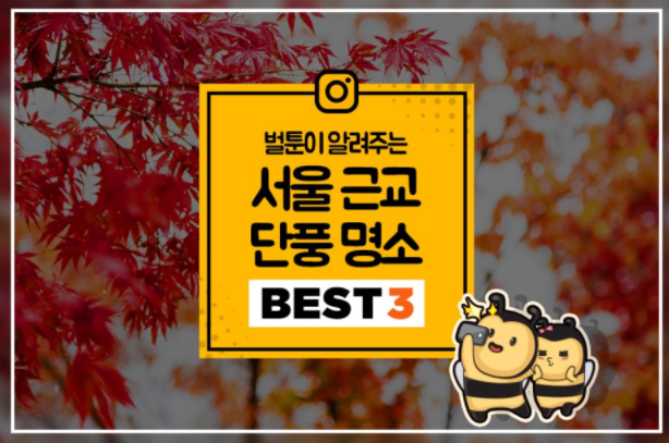 83b9efaf005d43bb2733dcf22f4db5a8_1509067671_1659.png 83b9efaf005d43bb2733dcf22f4db5a8_1509067