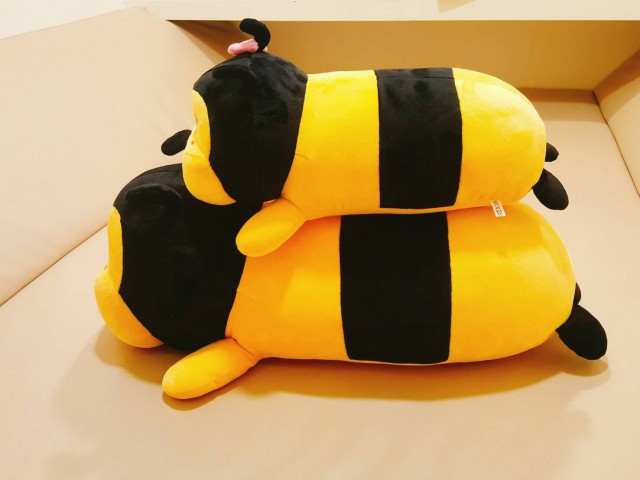 ee0fea6c1d3b8a42212c06bf739d20dc_1484023