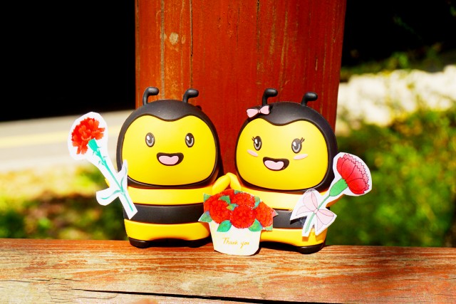 0f3e3660ab37074611358d264f1aab4e_1494204