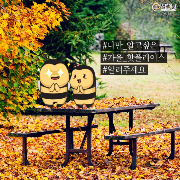 f3cce751b0a7538dc2a35ca76e9853ca_1538635