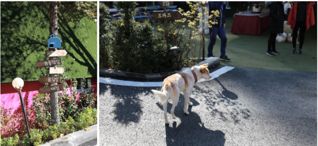 52d5020ab6c1c0fb3cc4403c4806dd8a_1542251