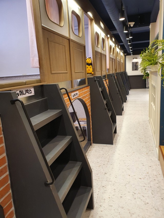 97332db6bbd051b7bd8a8ef348107b4d_1631089